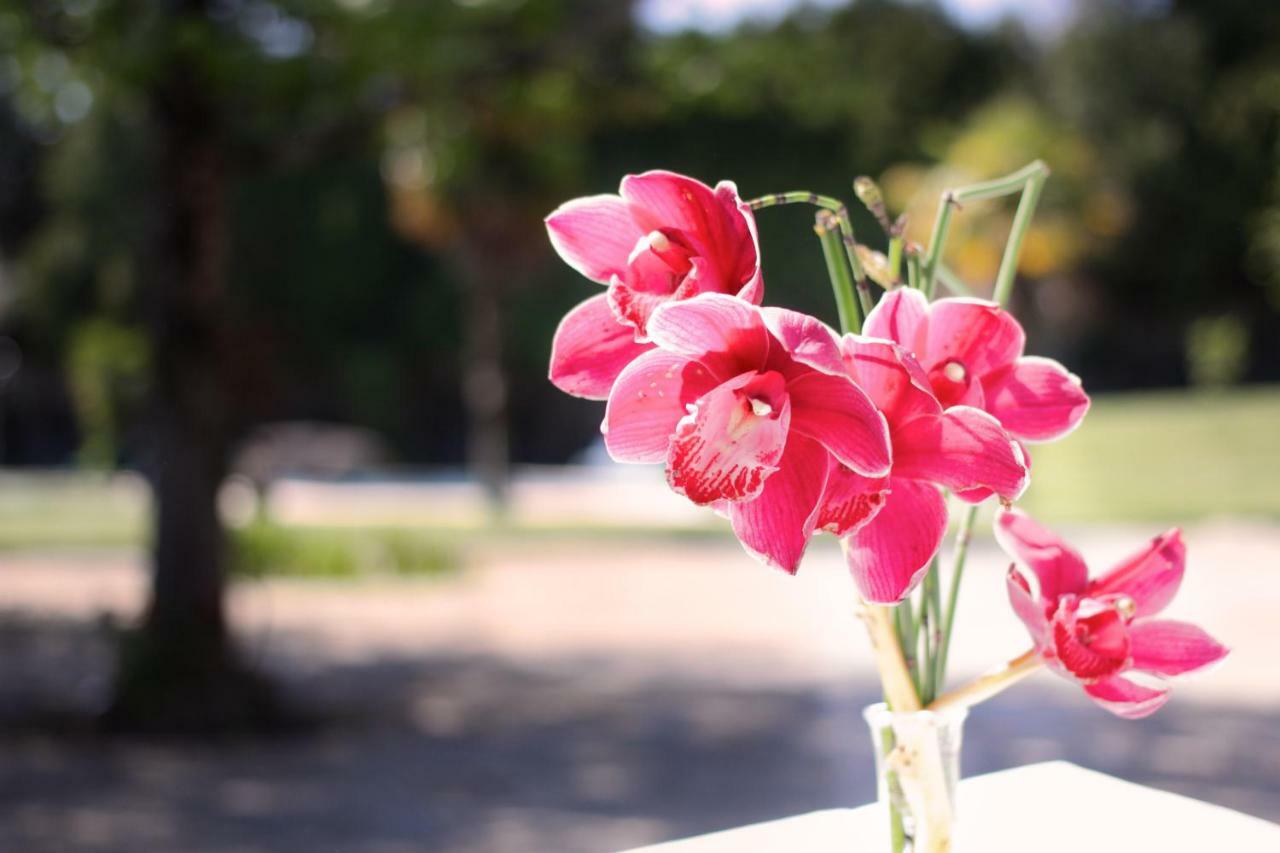 Casa Do Farm stay Amares